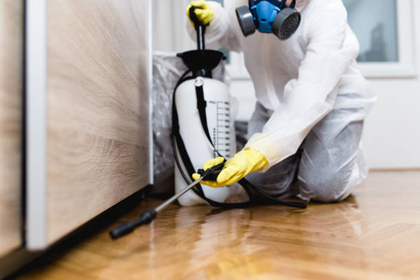 Best Pest Removal Services  in Iceville, AL