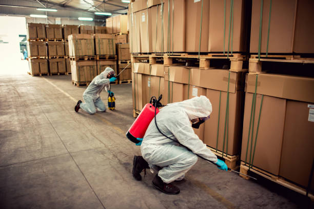Best Wasp Removal Services  in Iceville, AL