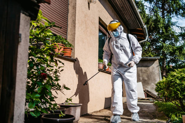 Best Best Pest Control Companies  in Iceville, AL