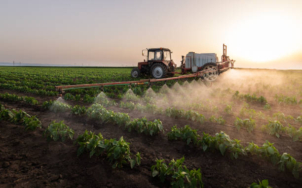 Best Commercial Pest Control Services  in Iceville, AL