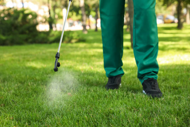 Best Mosquito Control Services  in Iceville, AL