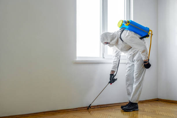 Best Pest Control for Businesses  in Iceville, AL