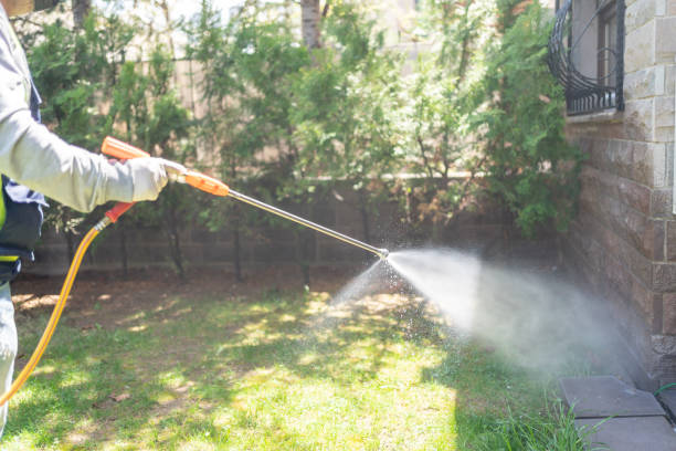 Best Flea Control Services  in Iceville, AL