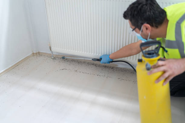 Best Residential Pest Control  in Iceville, AL