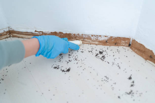 Pest Prevention Services in Aliceville, AL